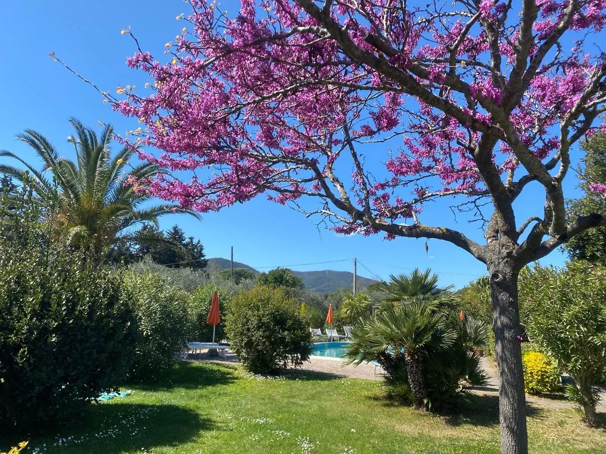 Ferienwohnung Casa Maremma “Peonia” Castiglione della Pescaia Apartment